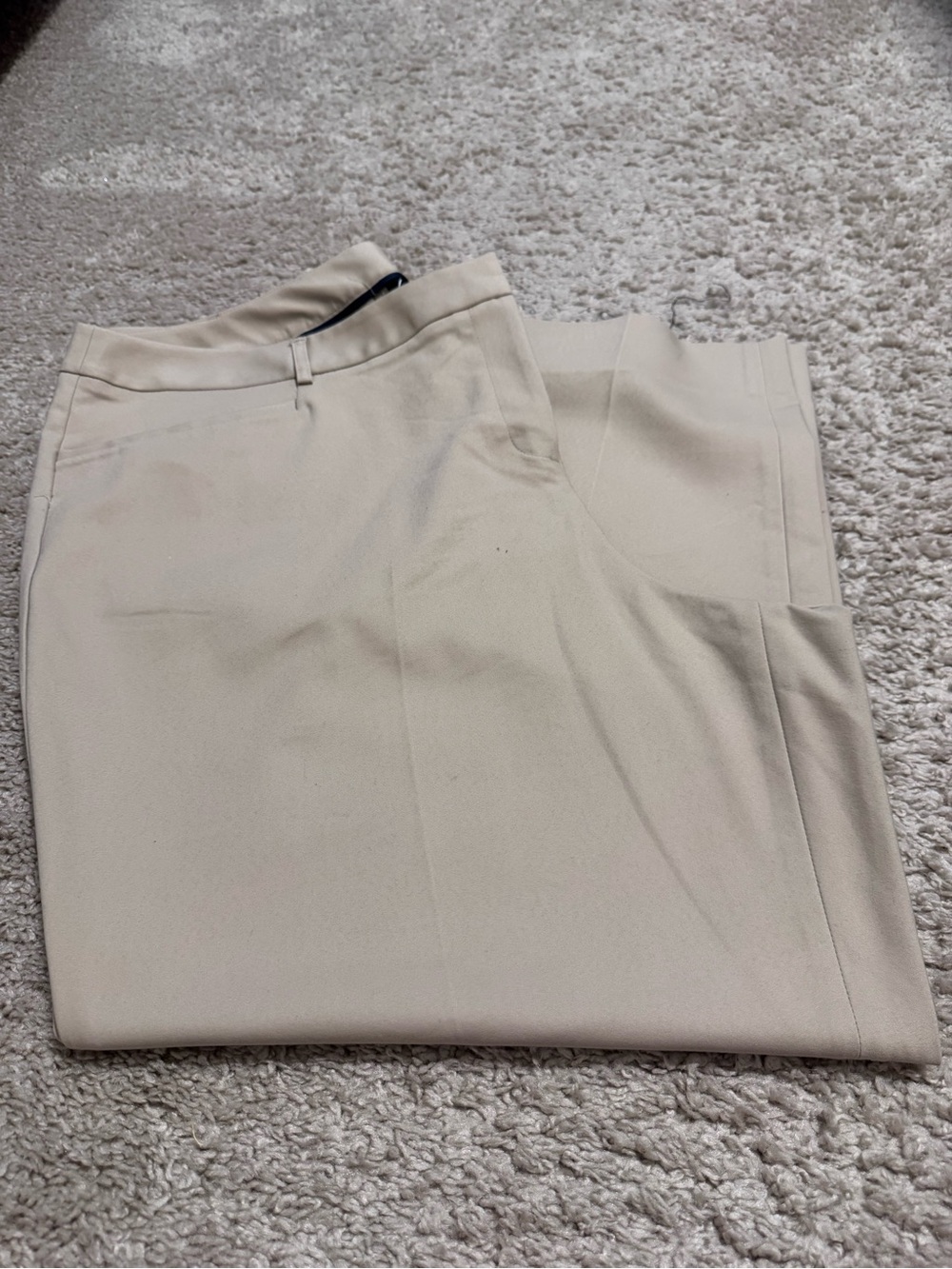 Lane Bryant Men's Dress Pants in Light Beige